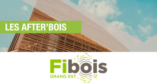 after_bois_fibois.png